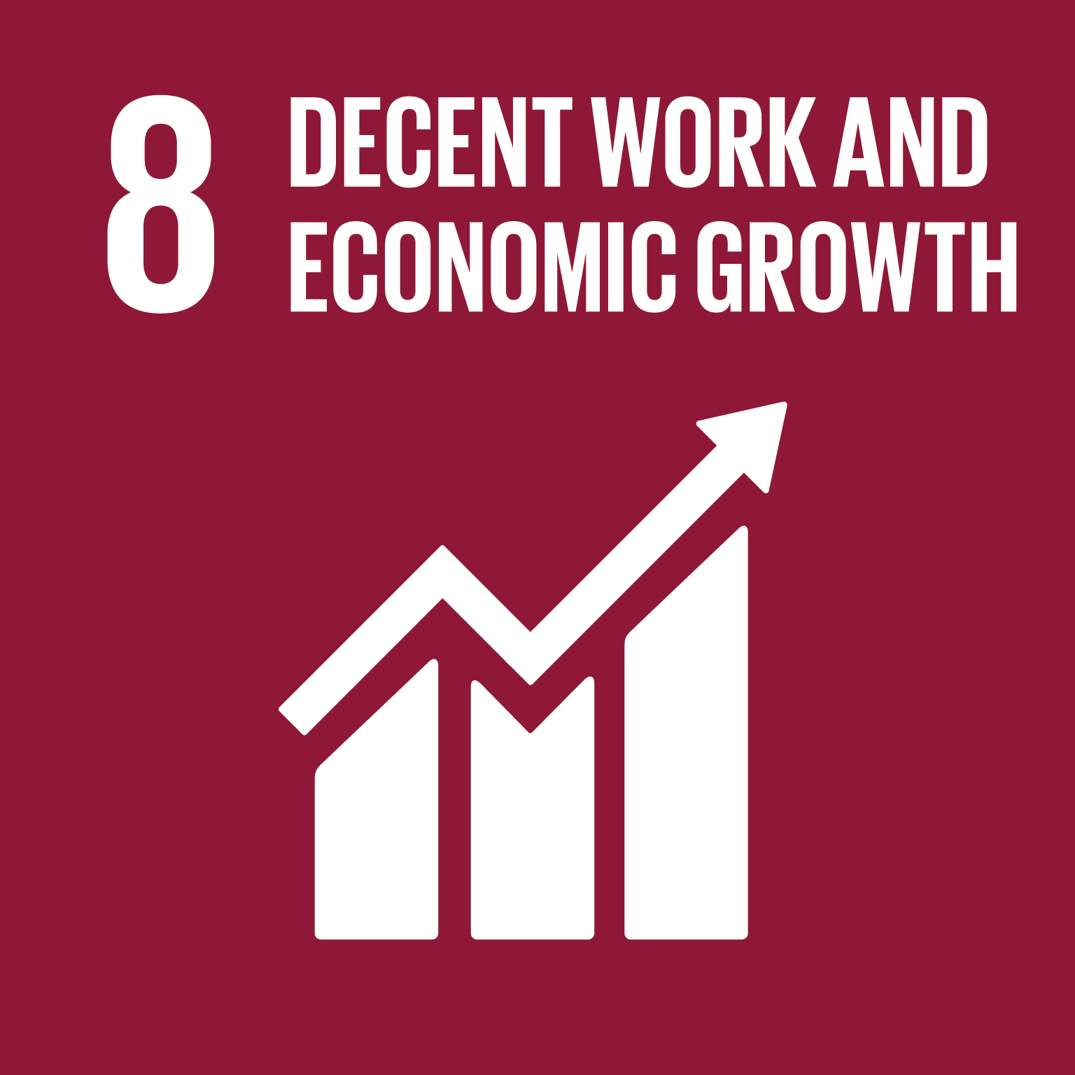 SDG Goal #8 Decent Work