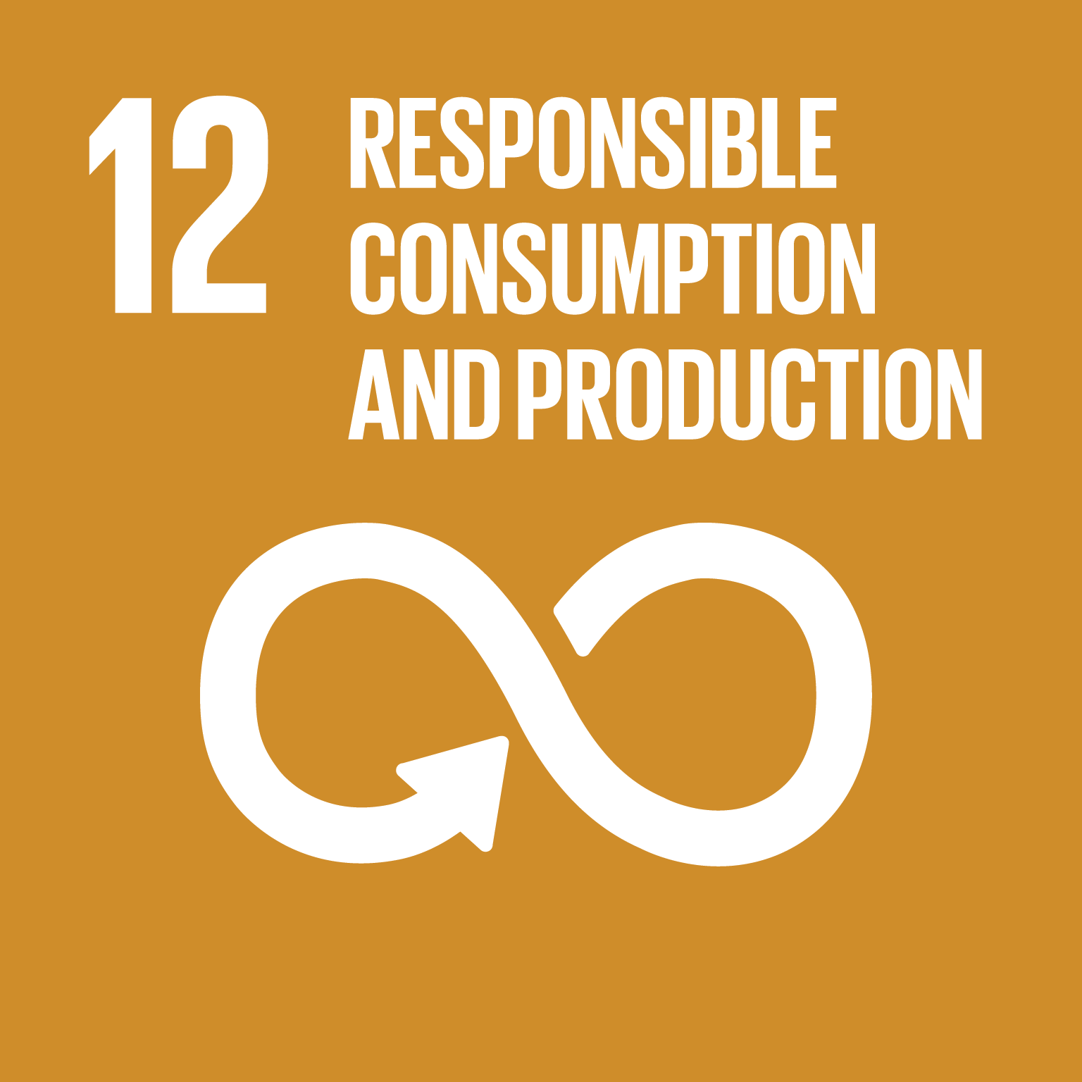 SDG Goal #12 Responsible Consumption