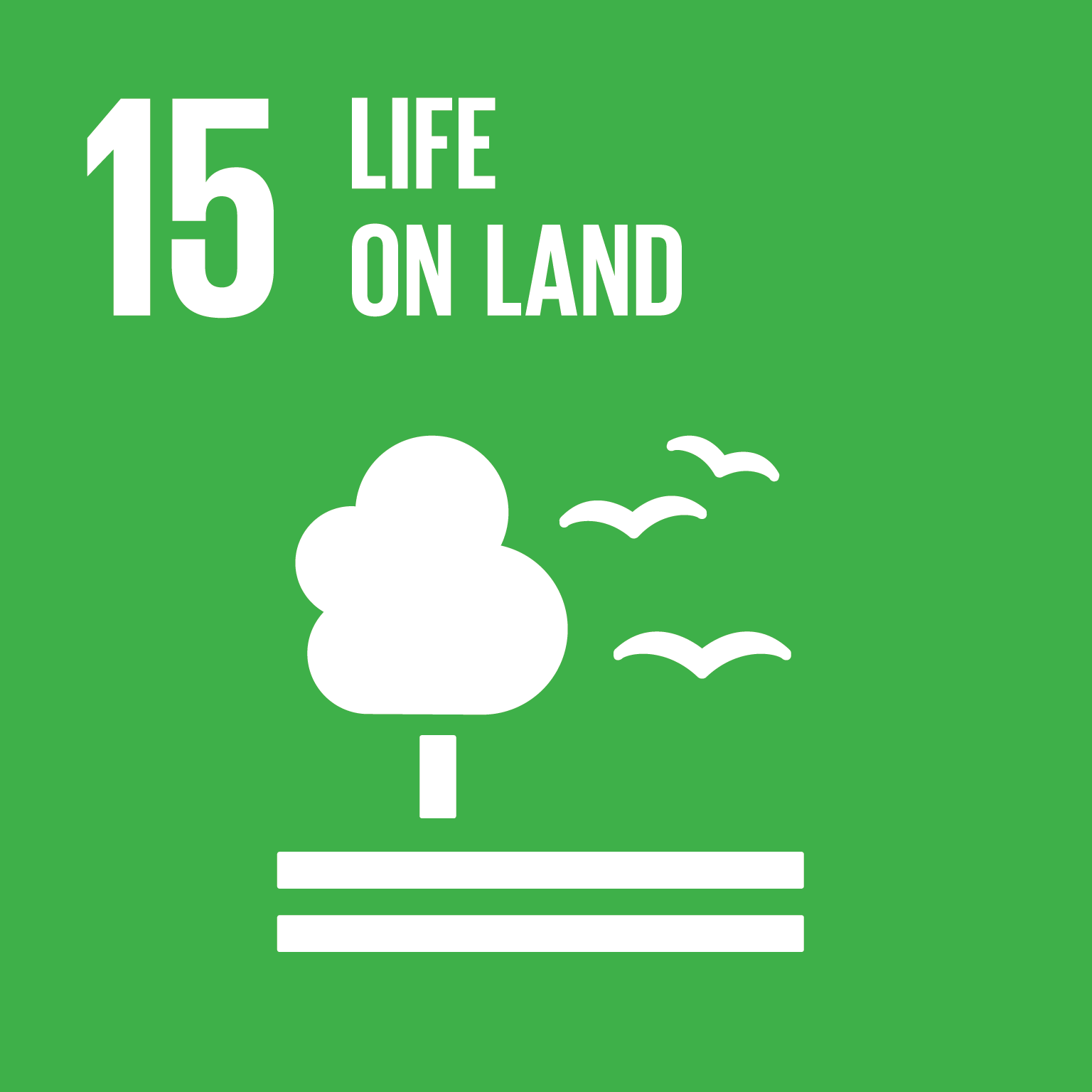 SDG Goal #15 Life on Land