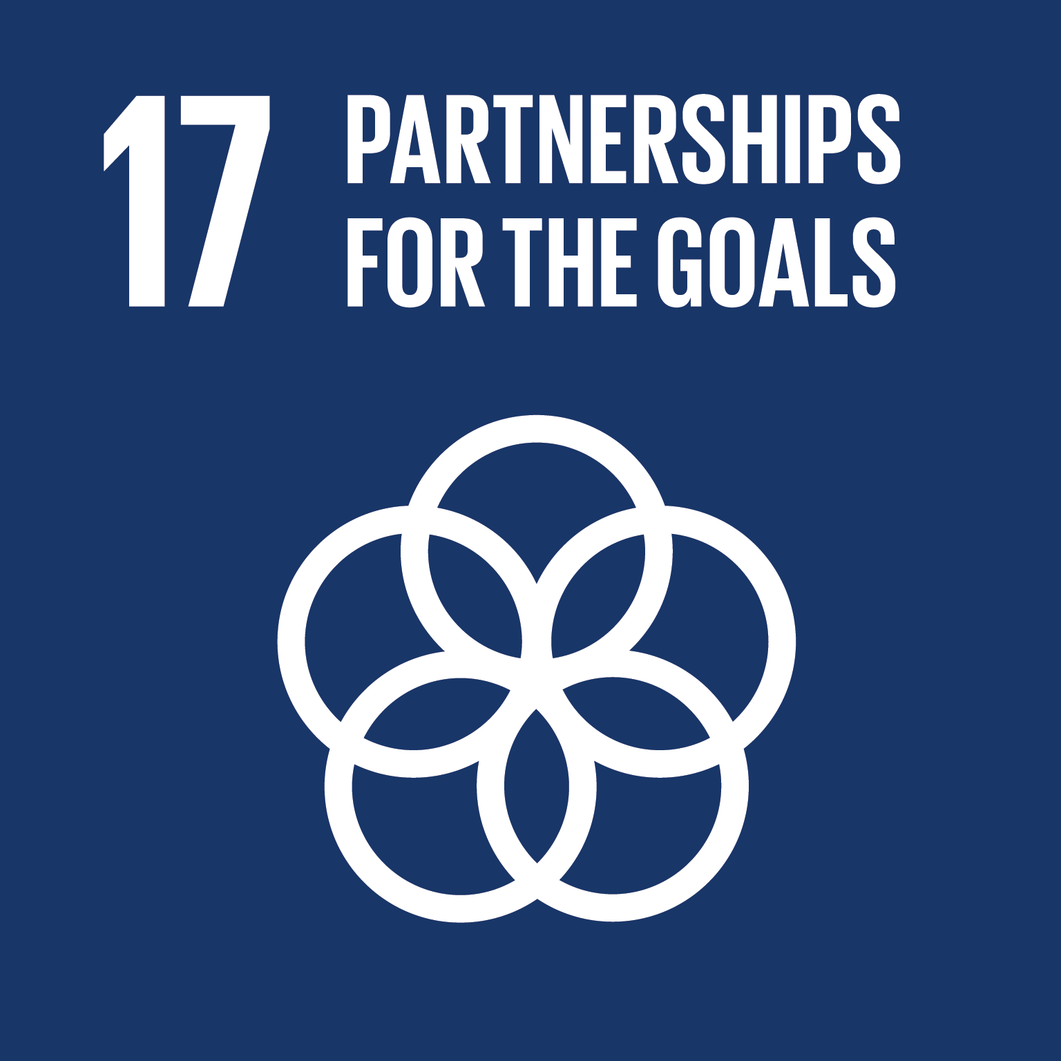 SDG Goal #17 Partnerships for the Goals