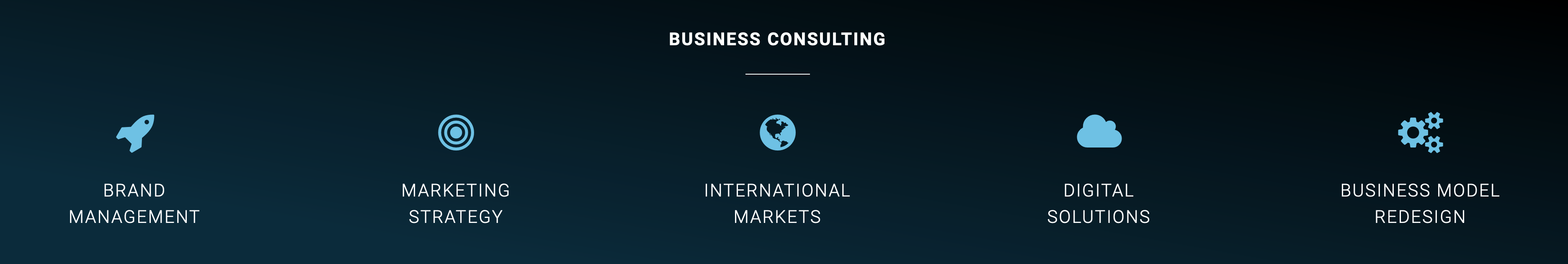 Business Consulting services from Purenessity Business Consulting services from Purenessity