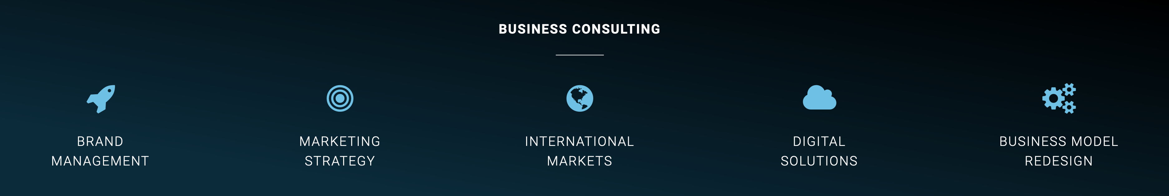 Business Consulting services from Purenessity