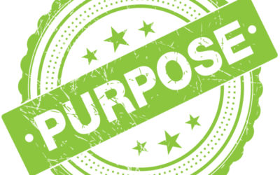 The Rise of Purpose-driven Brands in a VUCA World